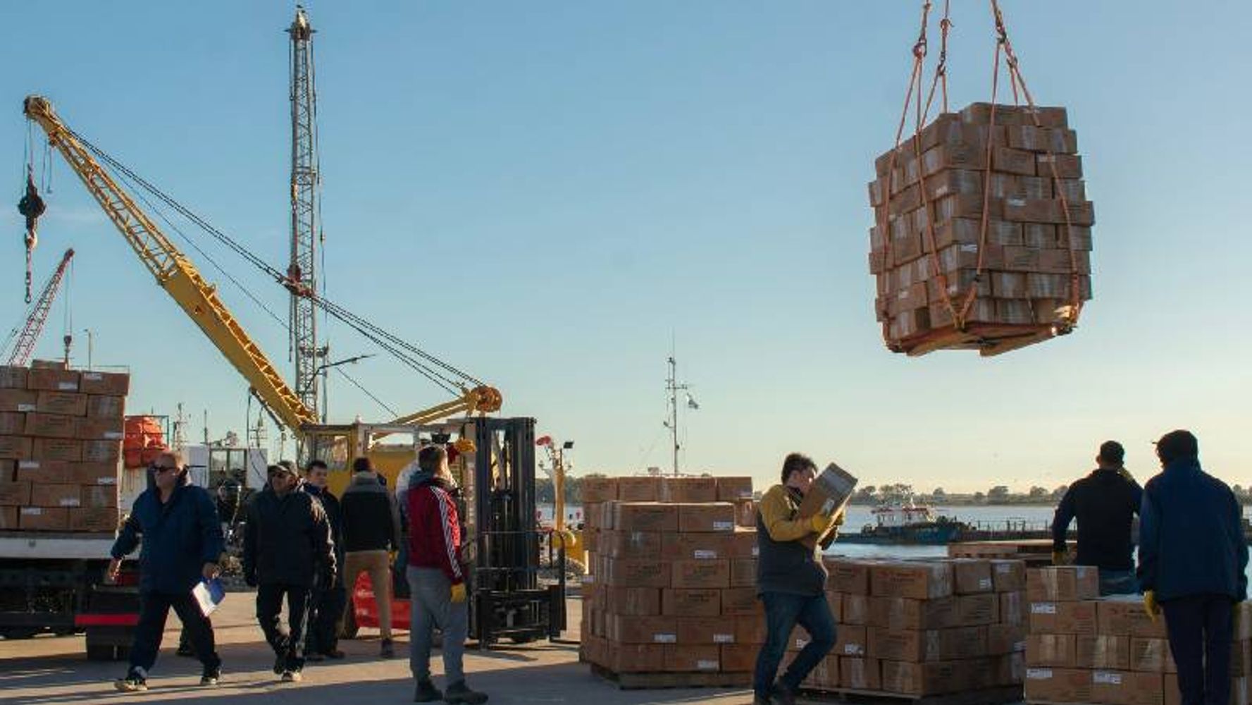 Primera descarga de producción de langostinos en Puerto Rosales.