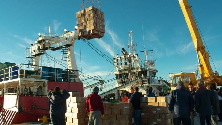 Puerto Rosales: se realizó la primera descarga de langostinos