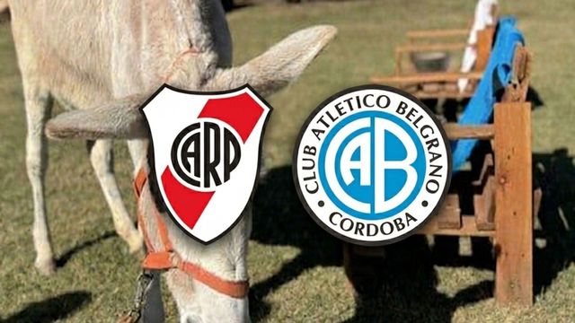 Un animal palpitó la final entre River y Belgrano.