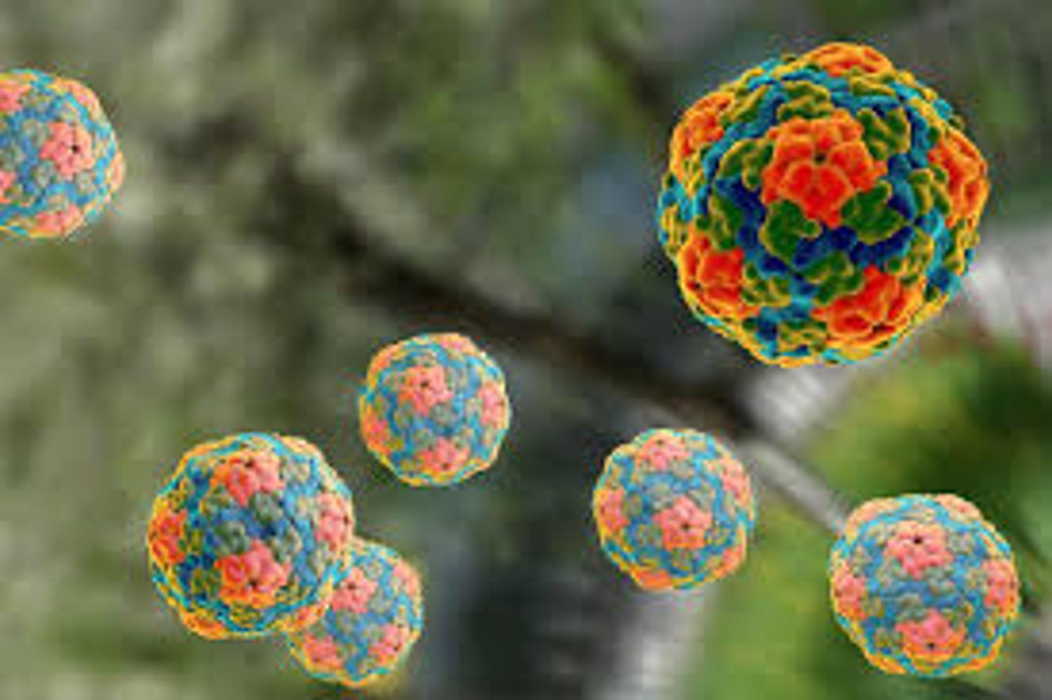 Hepatitis A.