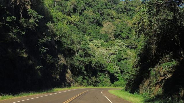 Aristóbulo del Valle: rescataron a un niño de 3 años que caminaba solo sobre la Ruta 14 tras salir de un jardín.