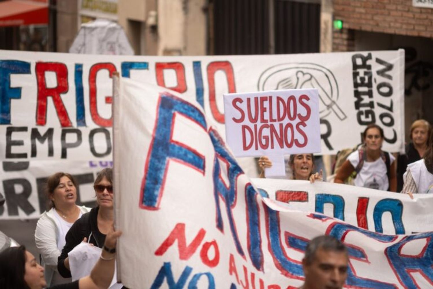 Docentes