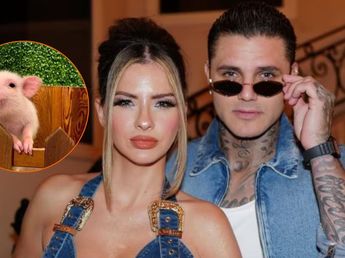 El polémico "café de cerditos" que visitaron la China Suárez y Mauro Icardi en Japón: de qué se trata la controversial tendencia