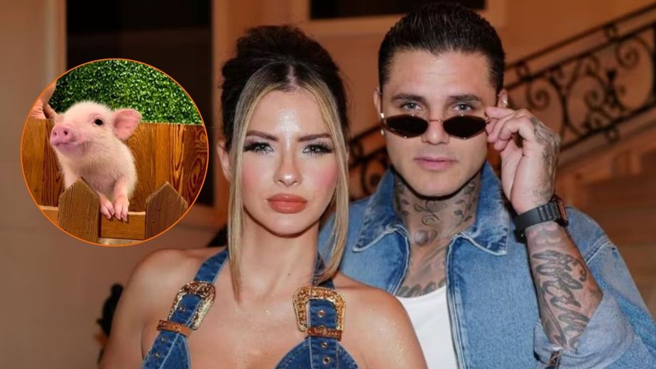 El polémico "café de cerditos" que visitaron la China Suárez y Mauro Icardi en Japón: de qué se trata la controversial tendencia