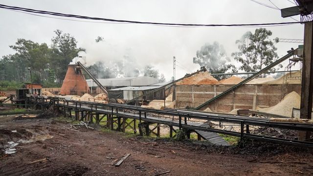Trabajadores del aserradero Linor de Azara denuncian vaciamiento y atraviesan una profunda crisis laboral.