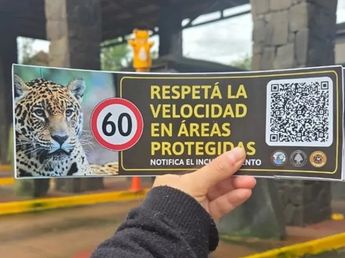 Implementaron un sistema con códigos QR para denunciar excesos de velocidad en el Parque Nacional Iguazú