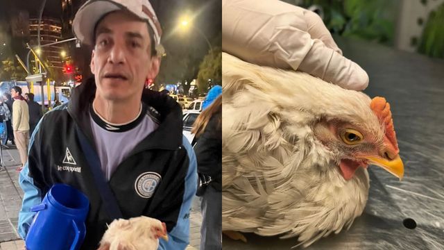 Maltrato animal en los festejos de Belgrano.