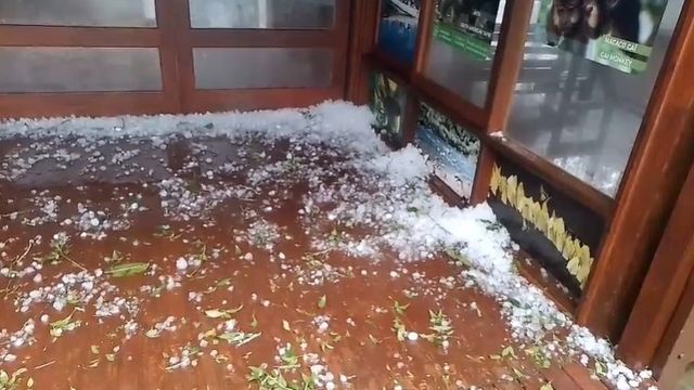 Un fuerte temporal con granizo provocó caída de árboles y daños en la zona del Parque Moconá.