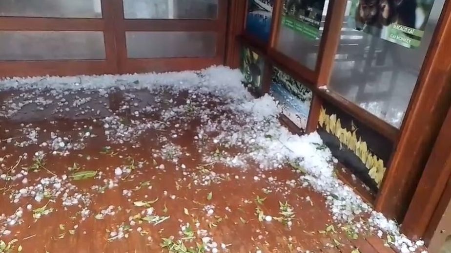 Un fuerte temporal con granizo provocó caída de árboles y daños en la zona del Parque Moconá