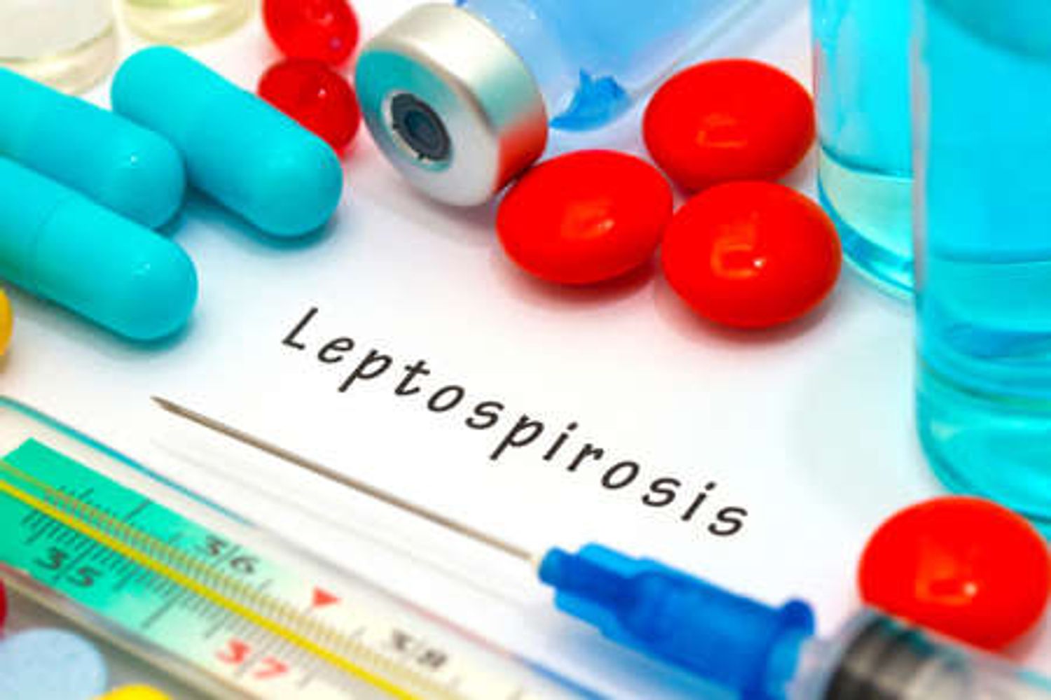 Leptopirosis