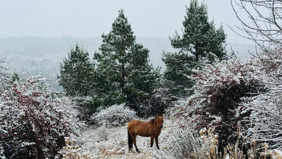 ¿Invierno sin frío polar?: El SMN reveló cómo estará el tiempo en Córdoba y una advertencia clave