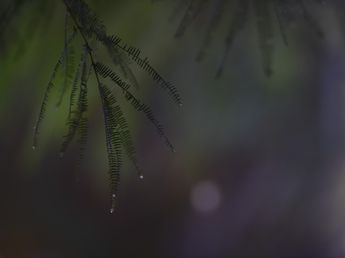 Clima en Córdoba: hasta cuándo hay pronóstico de lluvias este martes 21 de julio