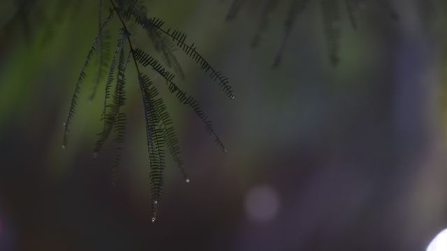 Clima en Córdoba con lluvias y bajas temperaturas.