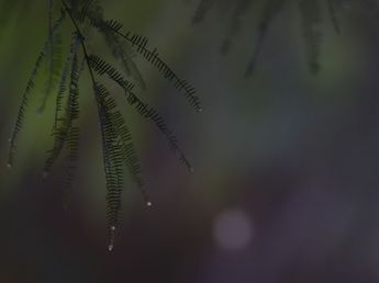 Clima en Córdoba este jueves 8 de octubre: cuándo dejan de caer las lluvias