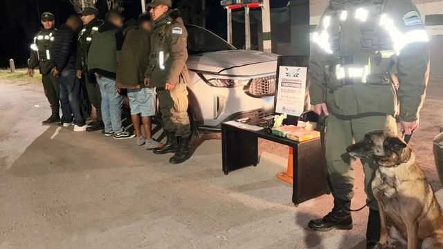 Cumbre el perro detector que fue clave para el secuestro de más de 2,5kgs de cocaína en el puesto Fitosanitario. 