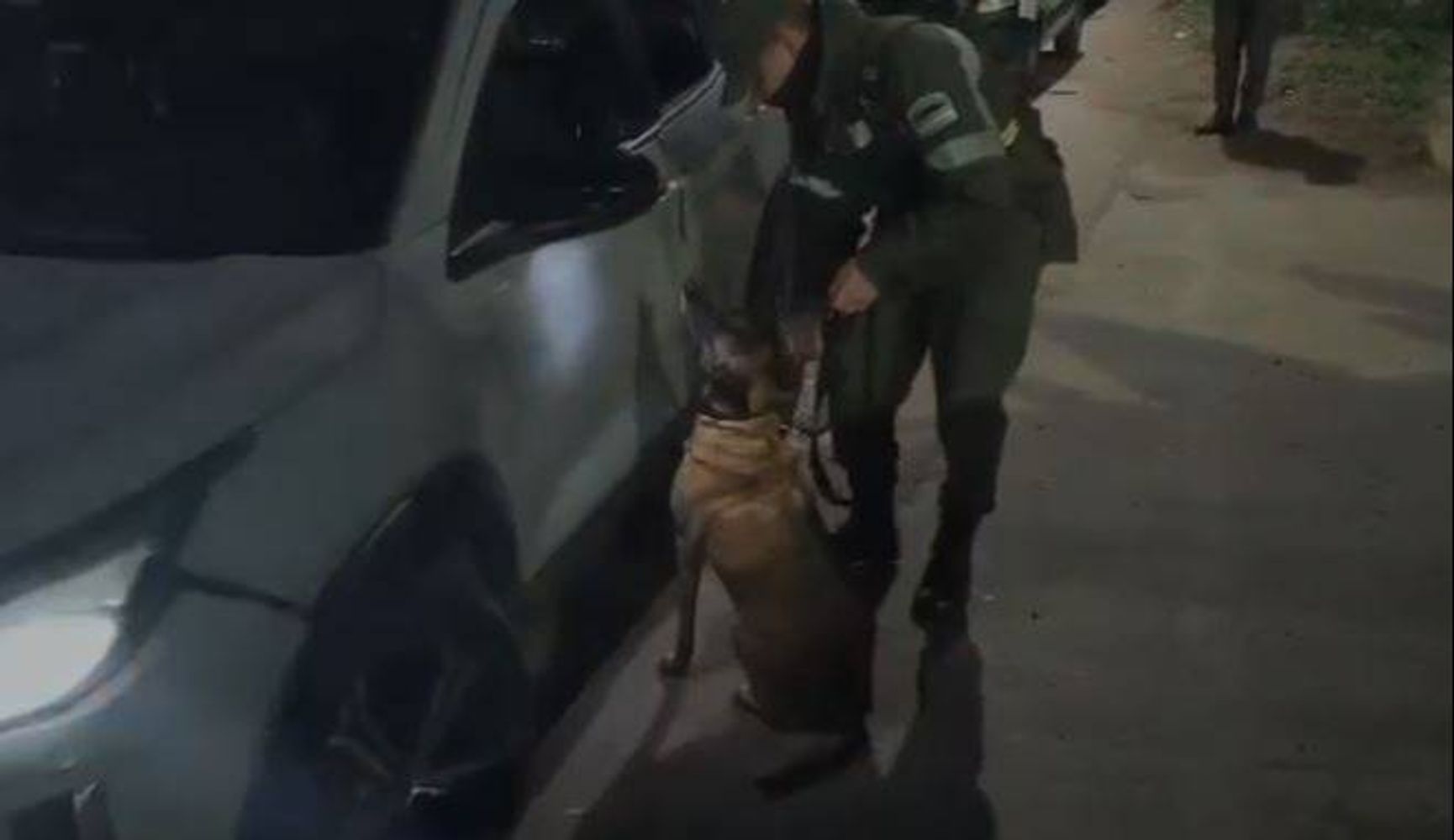 Cumbre el perro detector que fue clave para el secuestro de más de 2,5kgs de cocaína en el puesto Fitosanitario.