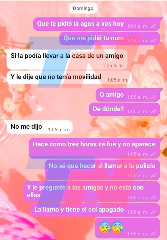 Captura del chat entre Melisa y Barrelier