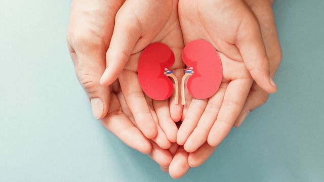 Más de 100 misioneros esperan un trasplante mientras avanza la promoción de la donación de órganos.