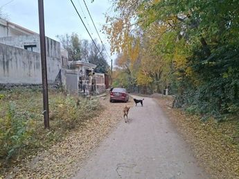 Sorpresa y misterio en La Falda tras el hallazgo de un cráneo humano