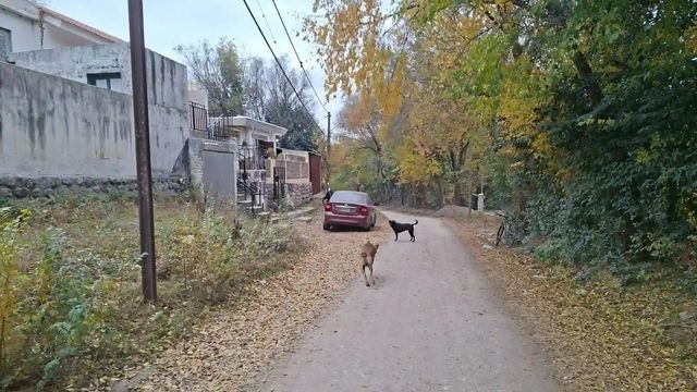Sorpresa y misterio en La Falda tras el hallazgo de un cráneo humano.