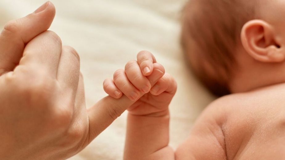 ANSES confirmó un nuevo límite de ingresos: quiénes quedan excluidos de las asignaciones familiares