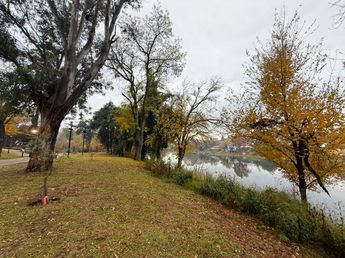 Martes helado en Carlos Paz: mínima bajo cero y máxima de 11 grados