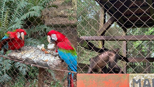 Denunciarán penalmente al Zoo Bal Park de Montecarlo por presunto maltrato animal.