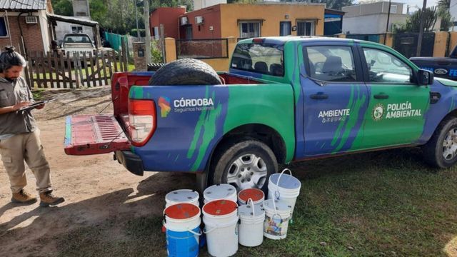 Policía Ambiental confirmó el rescate del espécimen.