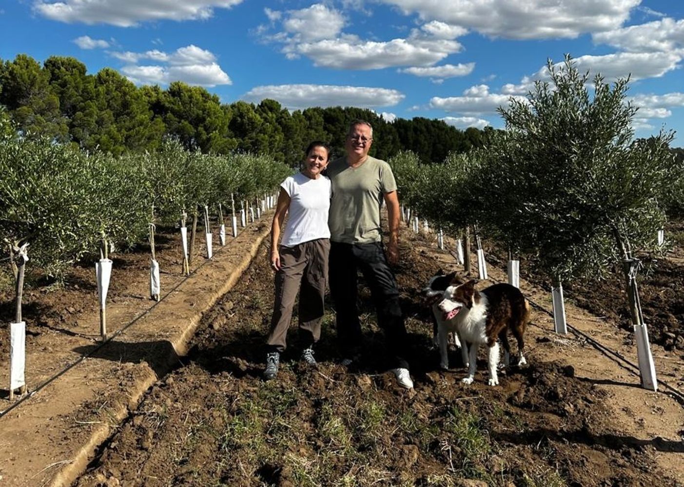Finca Rumaroli
