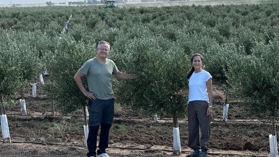 Nuevo reconocimiento internacional para Finca Rumaroli esta vez en Londres