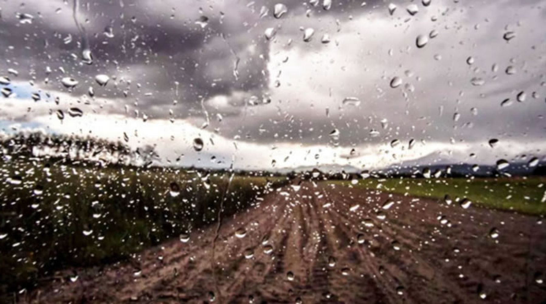 Lluvias/clima. Fotos Web.