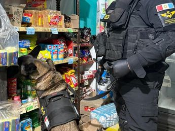 Usaban un kiosco para vender droga en Cosquín