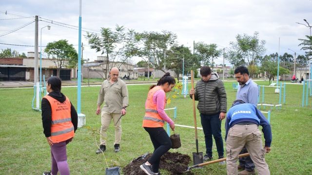 El municipio recibió ejemplares de lapacho para fortalecer propuestas comunitarias vinculadas al cuidado de los recursos naturales.