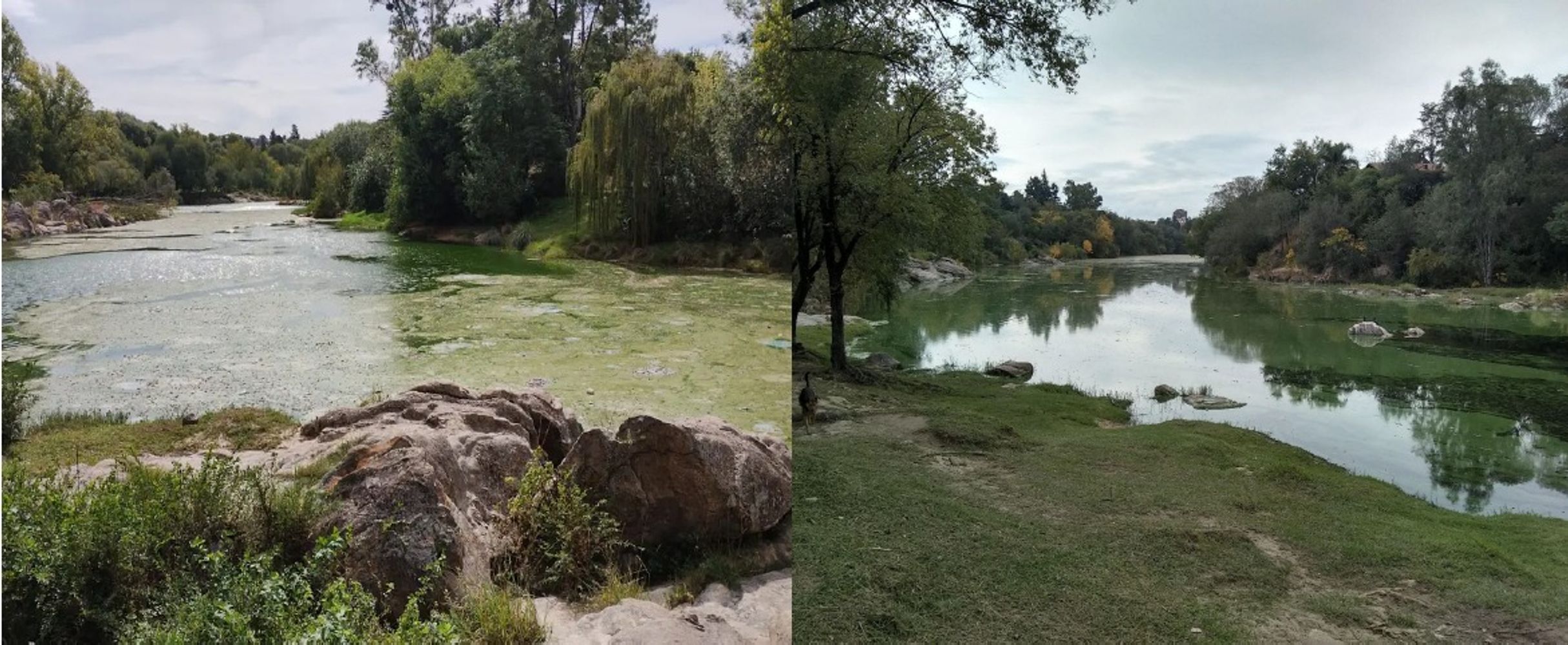 Solución ambiental definitiva para proteger el río San Antonio y el lago San Roque