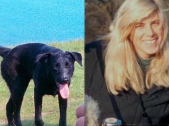 El testigo en Netflix: qué pasó con Molly, la perra que acompañaba a Rachel Nickell el día de su asesinato
