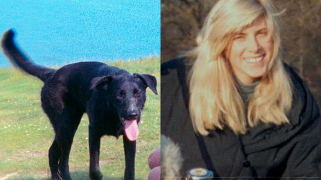 Molly acompañaba a Rachel Nickell y a su hijo Alex cuando ocurrió el crimen.