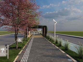 Avenida Parque tendrá una transformación histórica y cambiará por completo su imagen urbana