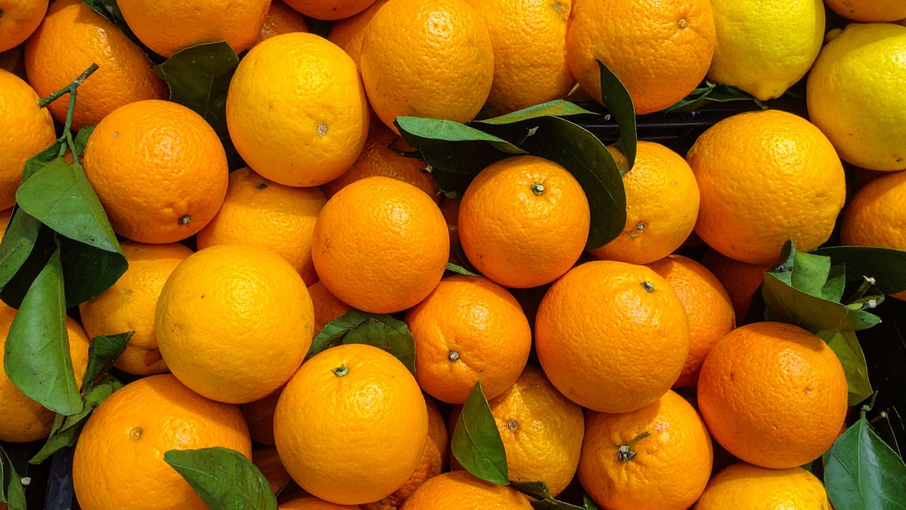 También sumaron al cargamento, naranjas frescas.