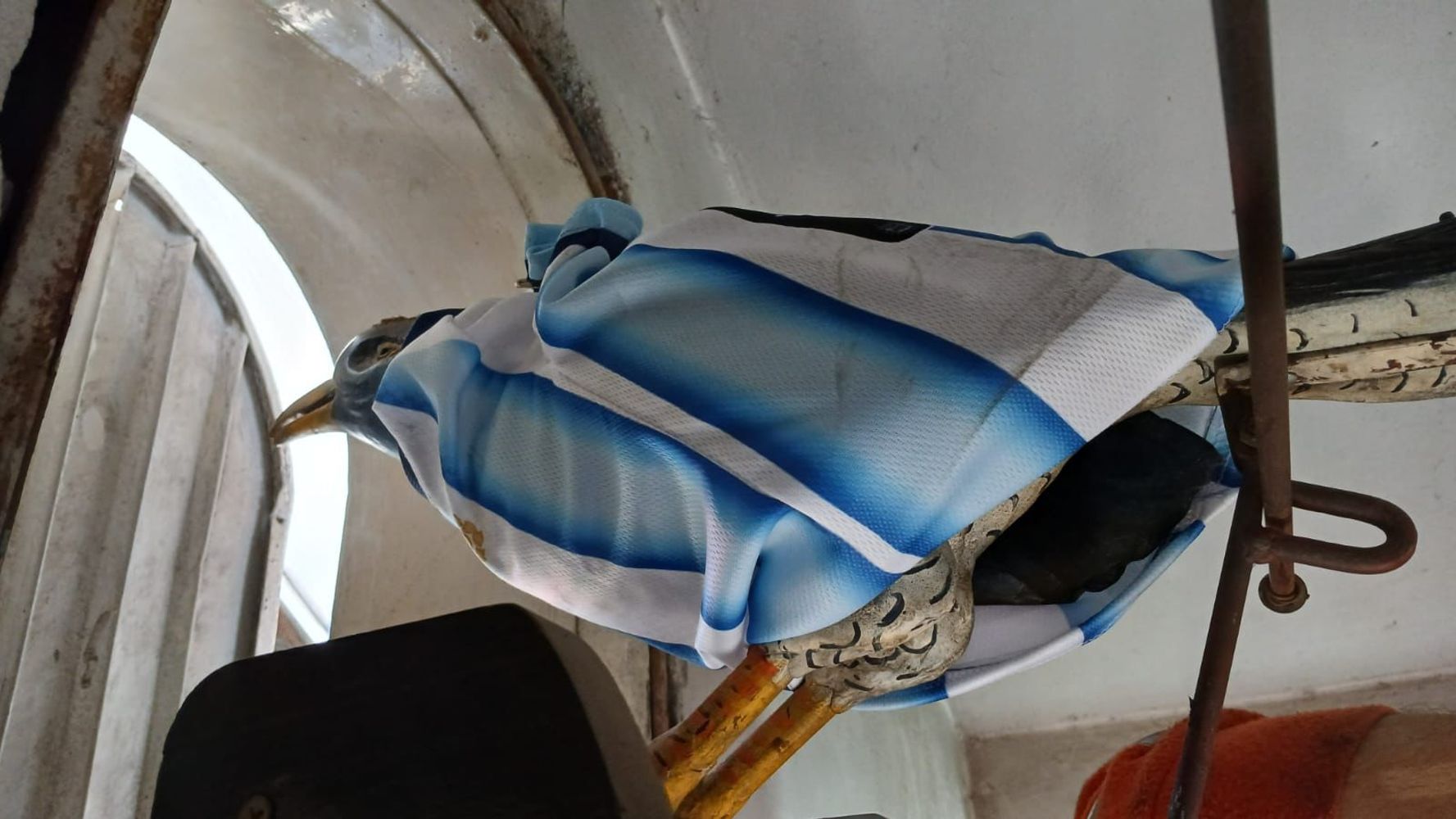 Clima mundialista en Carlos Paz: el Reloj Cucú ya luce la camiseta argentina.