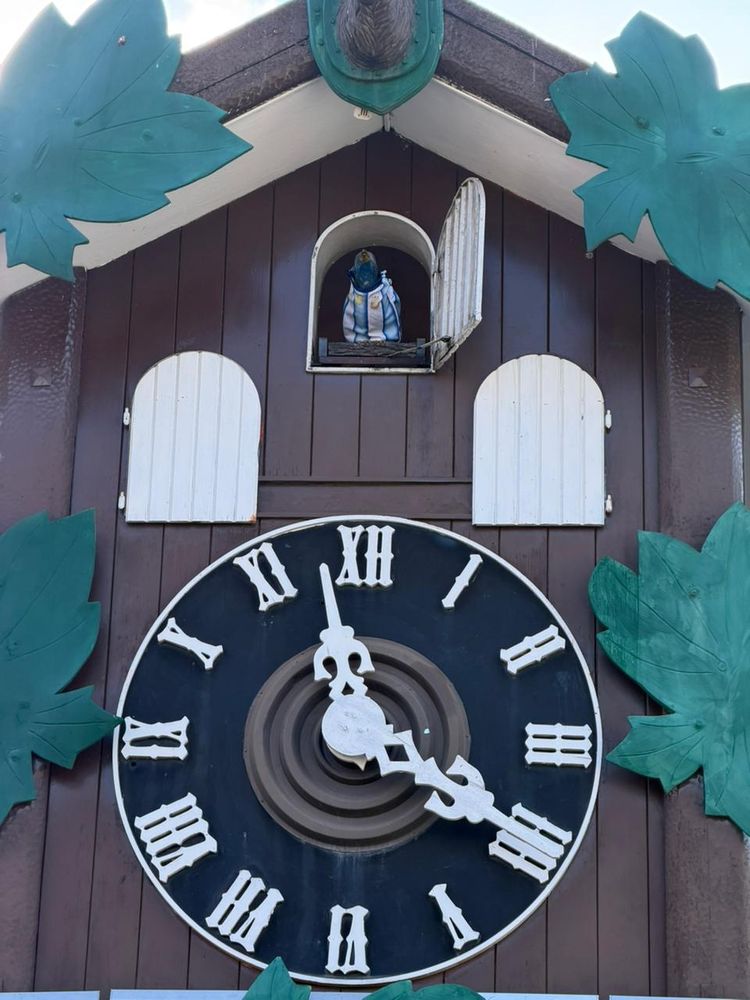 Clima mundialista en Carlos Paz: el Reloj Cucú ya luce la camiseta argentina.