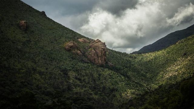 CABEZA DEL SOLDADO
