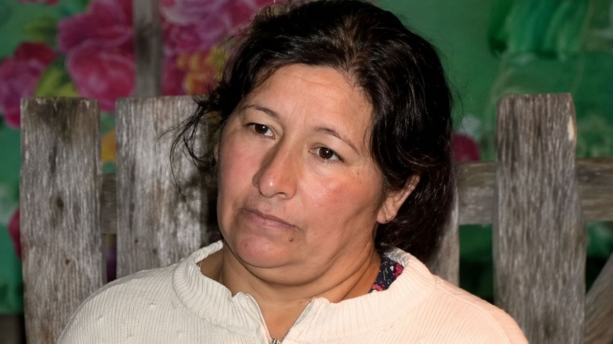 La fiscal acusó a Laudelina Peña de plantar una prueba clave y sacudió el juicio
