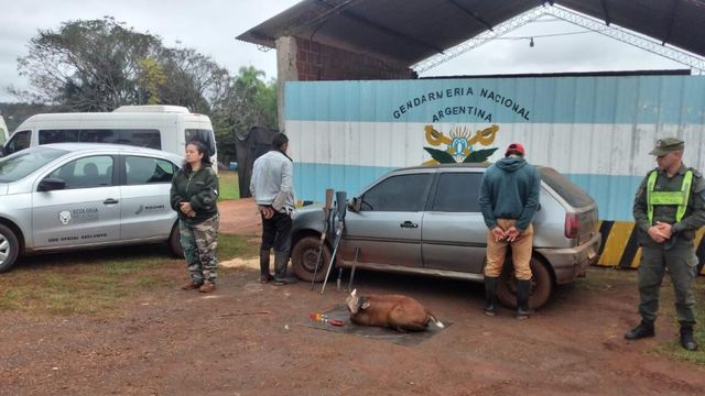 Detuvieron a dos cazadores furtivos con armas y un venado dentro del Parque Urugua-í.