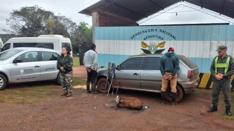 Detuvieron a dos cazadores furtivos con armas y un venado dentro del Parque Urugua-í.