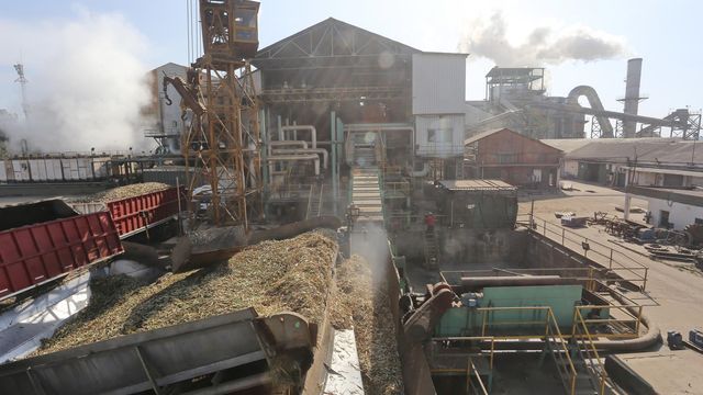 Tucumán, Salta y Jujuy superan en conjunto los 2,5 millones de toneladas de caña molida.