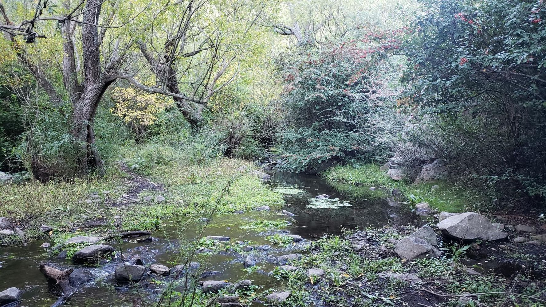 El Dique San Jerónimo y el sendero hacia el Baño de los Dioses, dos rincones naturales para descubrir en La Cumbre.