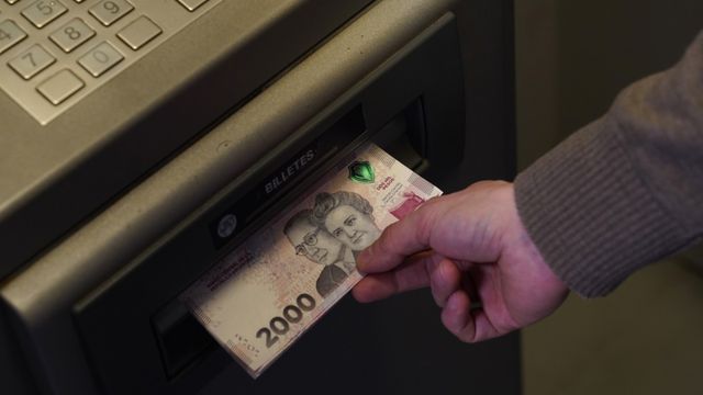 Ofrecen una beca de 500 mil pesos