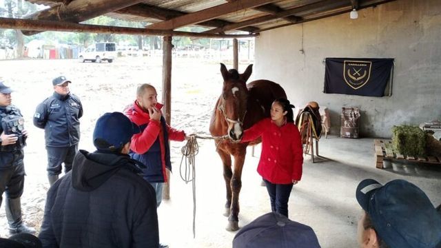 La capacitación apuntó a mejorar el manejo diario y el bienestar de los animales.