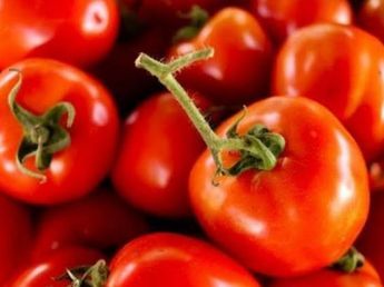 Lo estás haciendo mal: el secreto del verdulero para que los tomates no se pudran en la heladera