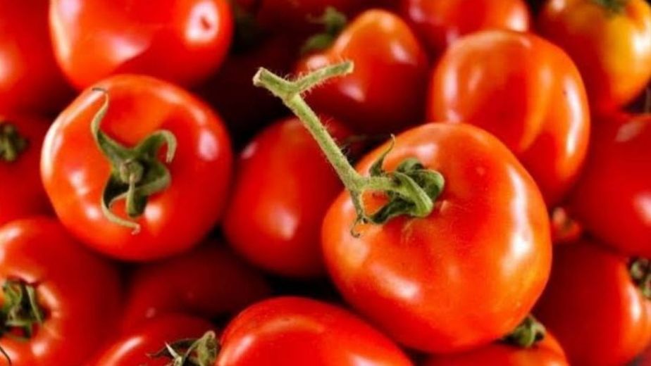 Lo estás haciendo mal: el secreto del verdulero para que los tomates no se pudran en la heladera